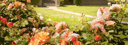 Tenuta Cusmano Villa Resort