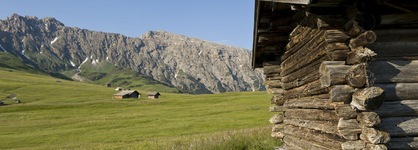 Seiser Alm Urthaler