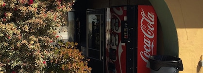 Oasis Inn & Suites