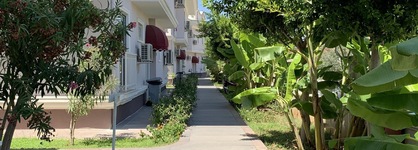 Daphne Apartments C Blok