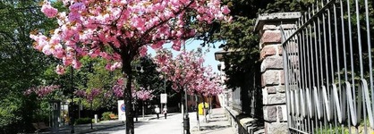 Romanda