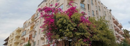 Golden Rose Hotel