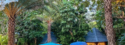 The Bali Dream Villa Resort Echo Beach Canggu