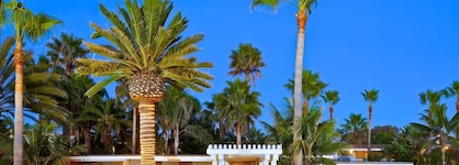 Ocean Palms Beach Resort