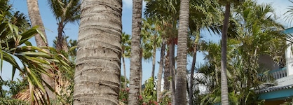 Paradera Park Aruba