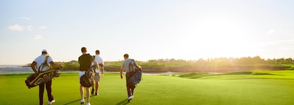 The Westin Puntacana Resort & Club