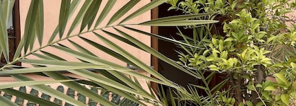 Riad Elias