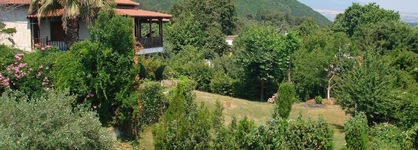 Hotel Alkyonis
