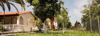 Paradise Village