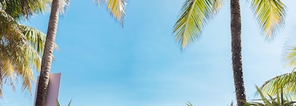 Mayan Princess Beach & Dive Resort - All Inclusive