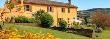 B&B Glicine