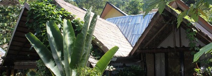Novie's Tourist Inn