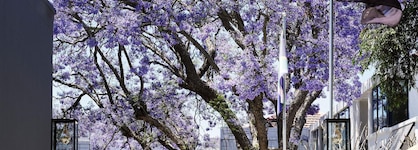 Park Hyatt Johannesburg