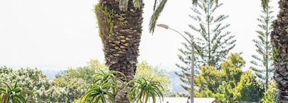 Four Palms Accommodation