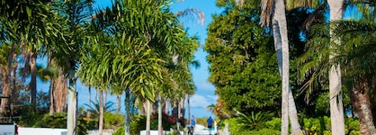 Tropical Beach Resorts