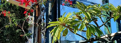 Dioskouroi Apartments