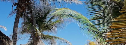 Punta Piedra Beach Posada