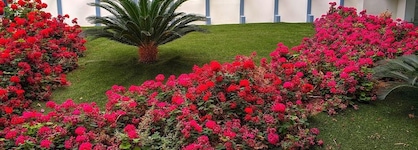 Aegean Blue Beach Hotel
