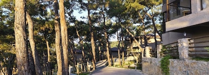 Tui Blue Seno - Adults Only