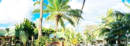 Lamai Inn 99 Bungalows