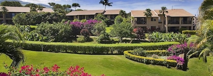 Wailea Ekolu Village By Destination Residences