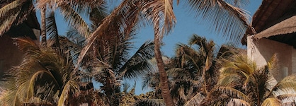 Tago Tulum By G Hotels