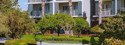 Barut Goia