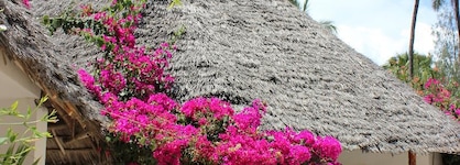 Sea View Lodge Boutique Hotel