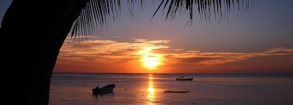 Bananarama Dive & Beach Resort