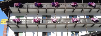 Park Hotel Avisio