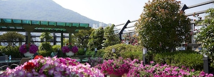 Busan Beach Hotel Busan Songdo