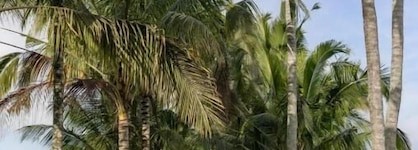 Wapa Di Ume Ubud