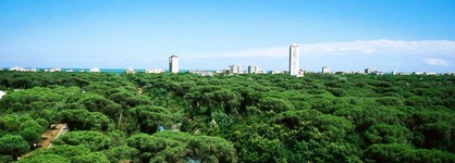 Hotel Zani