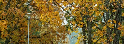 Hotel Nuuksio - Conferences And Events