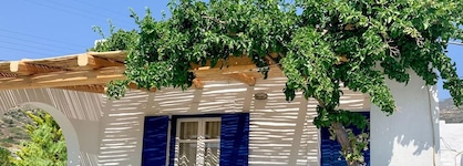 Aloni Ios