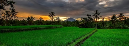Kawi Resort A Spiritual Sanctuary To Escape