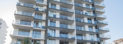 Verve On Cotton Tree