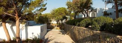 Kakkos Bay