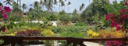 Zanzibar Queen Hotel