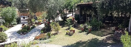 Harbour Inn Corfu