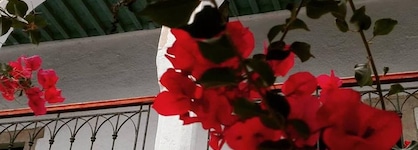 Hotel Arisha