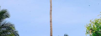 Blue Moon Resort