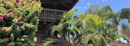 Maui What A Wonderful World B And B Hawaii
