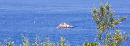 Vista Di Capri