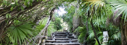 Kimpton Aluna Tulum By Ihg