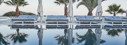 Petri Suites