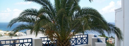 Aegean View Hotel