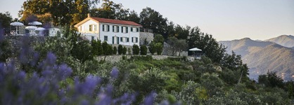 Il Leccio Luxury Resort