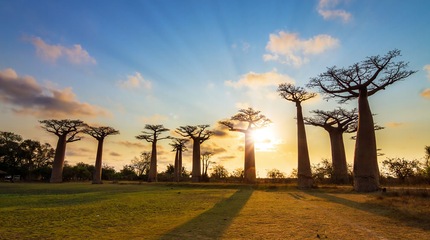Africa del Sud