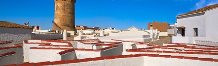 Paterna